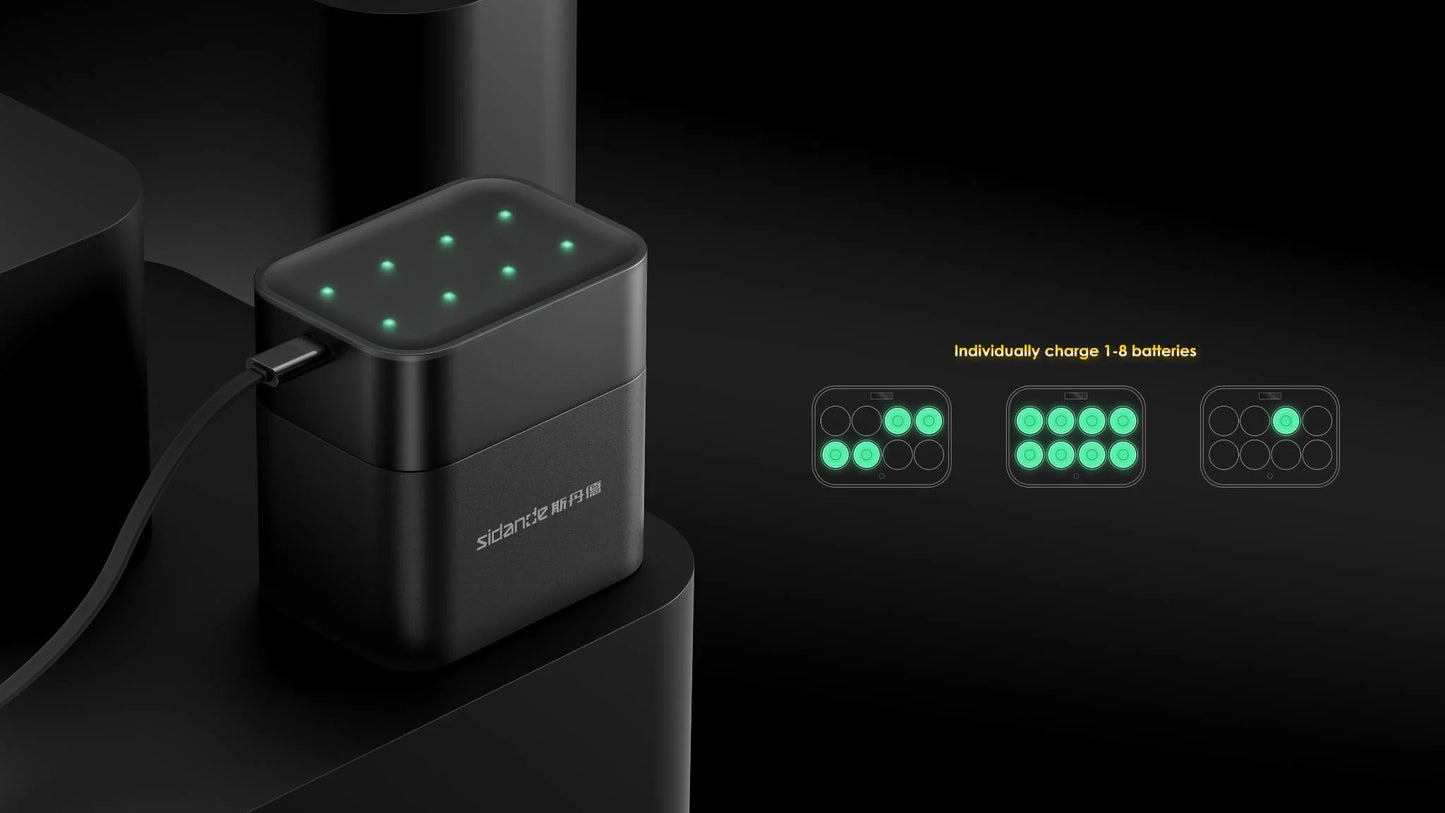 Chargeur de Batteries 8 en 1