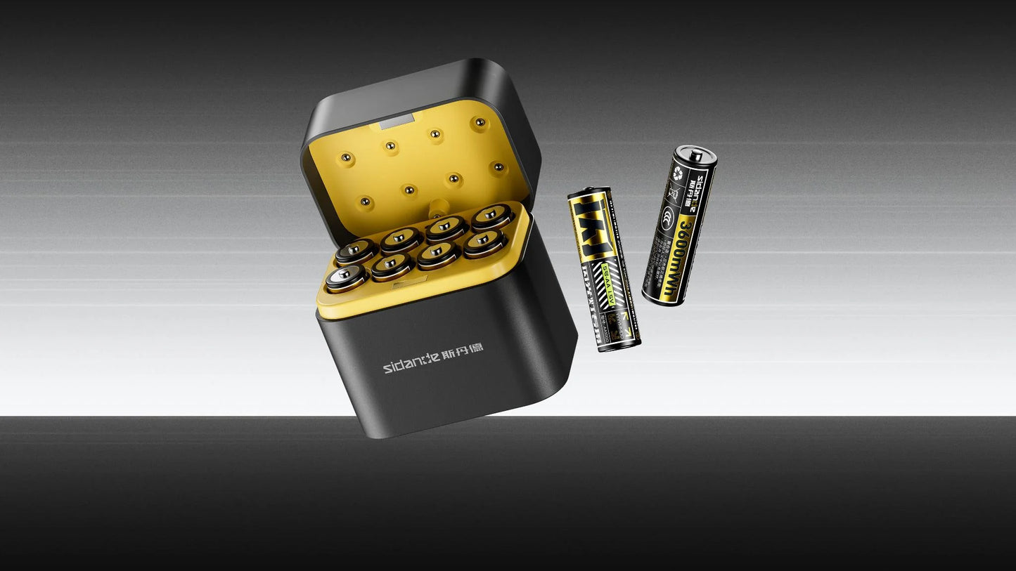Chargeur de Batteries 8 en 1
